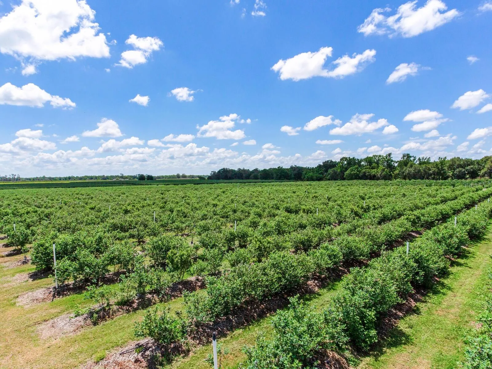 3674 E STATE ROAD 64