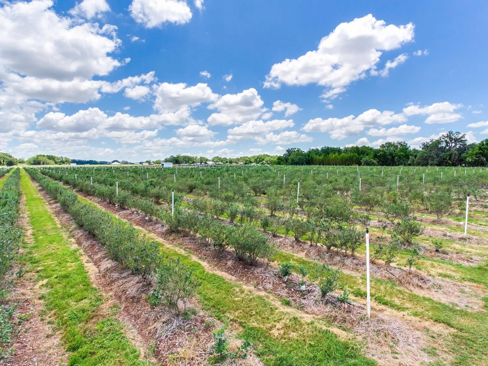 3674 E STATE ROAD 64