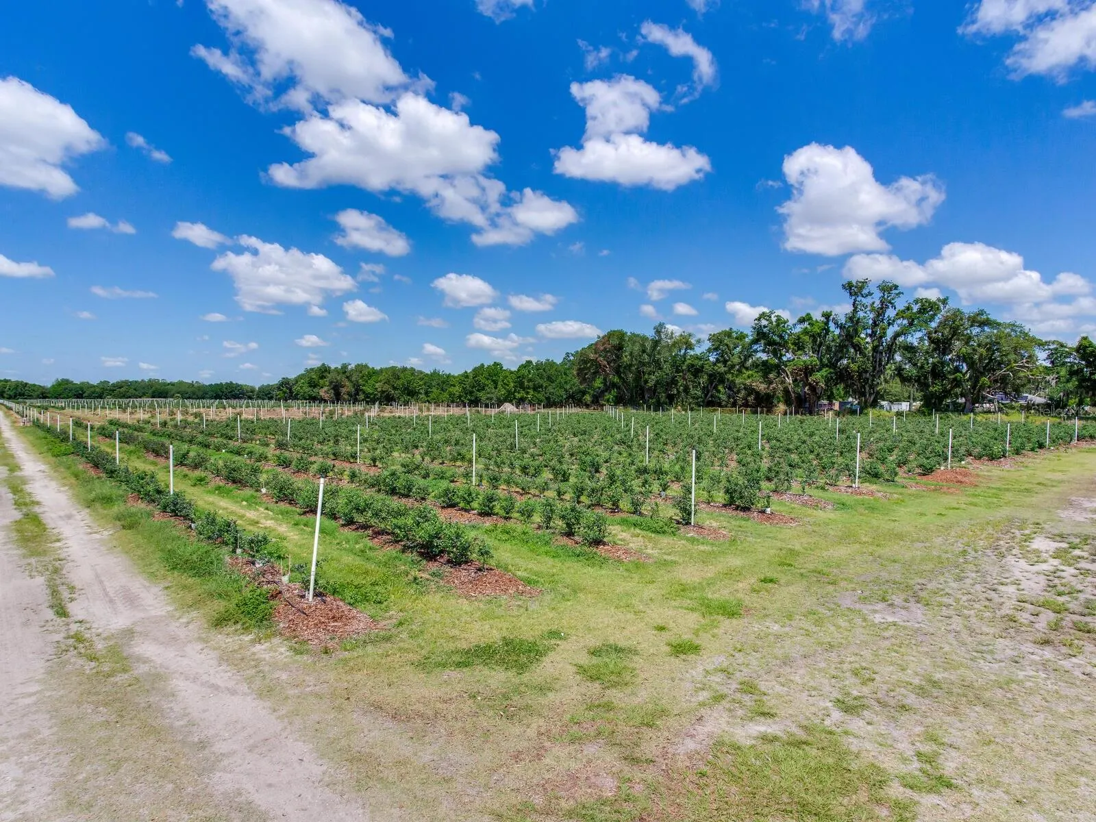 3674 E STATE ROAD 64