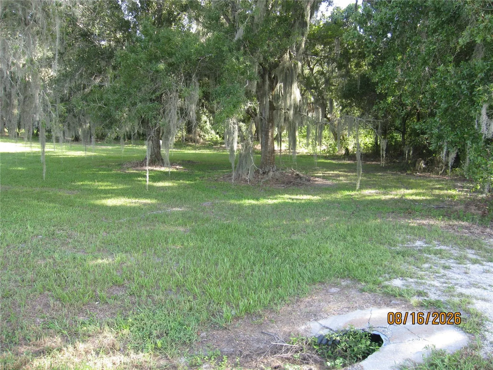 3216 JACK JONES RD