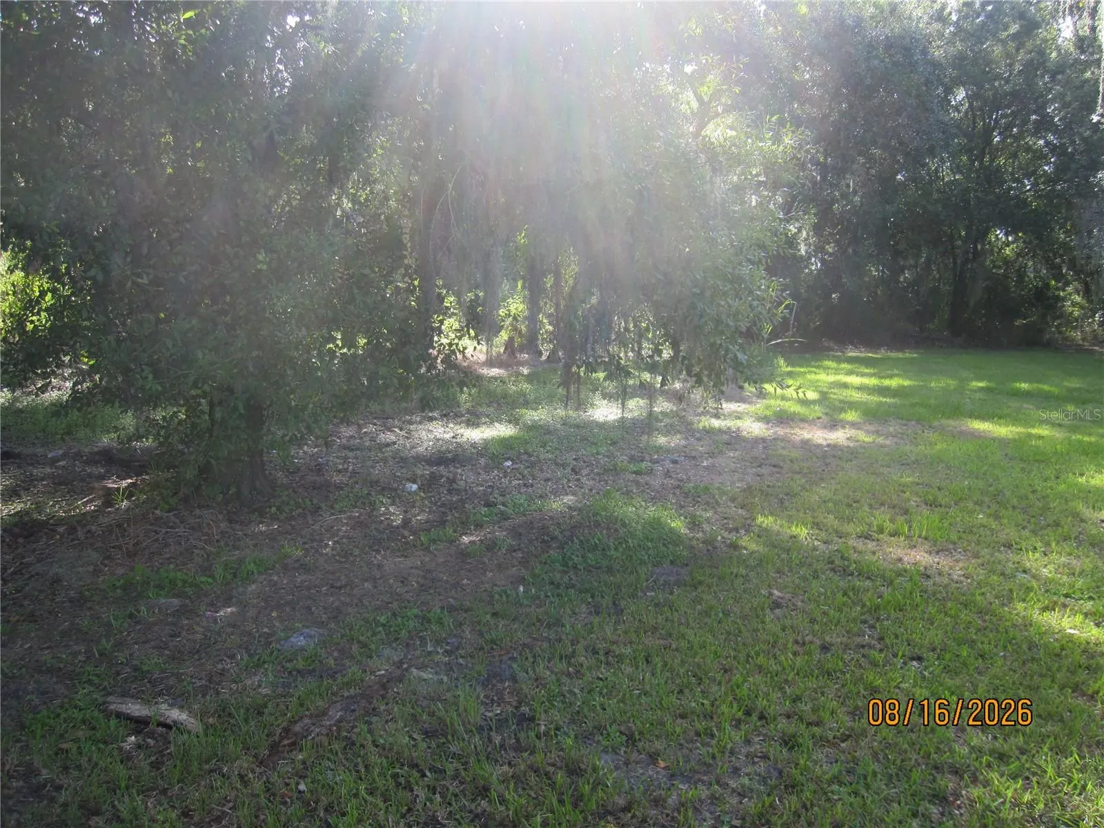 3216 JACK JONES RD