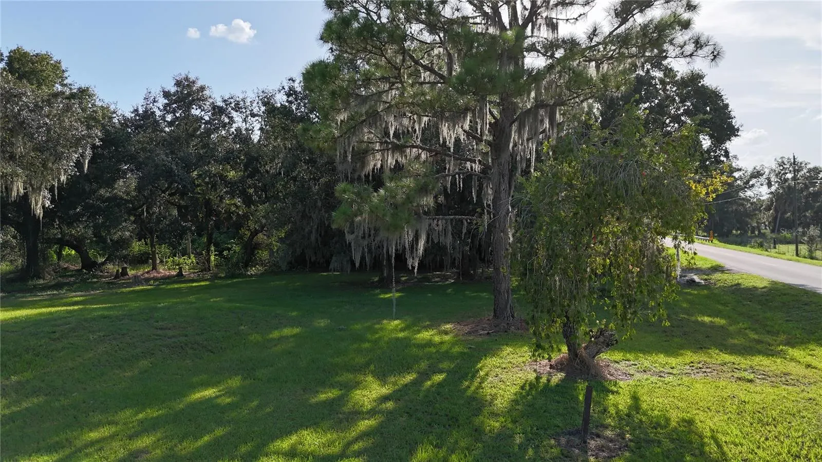 3216 JACK JONES RD