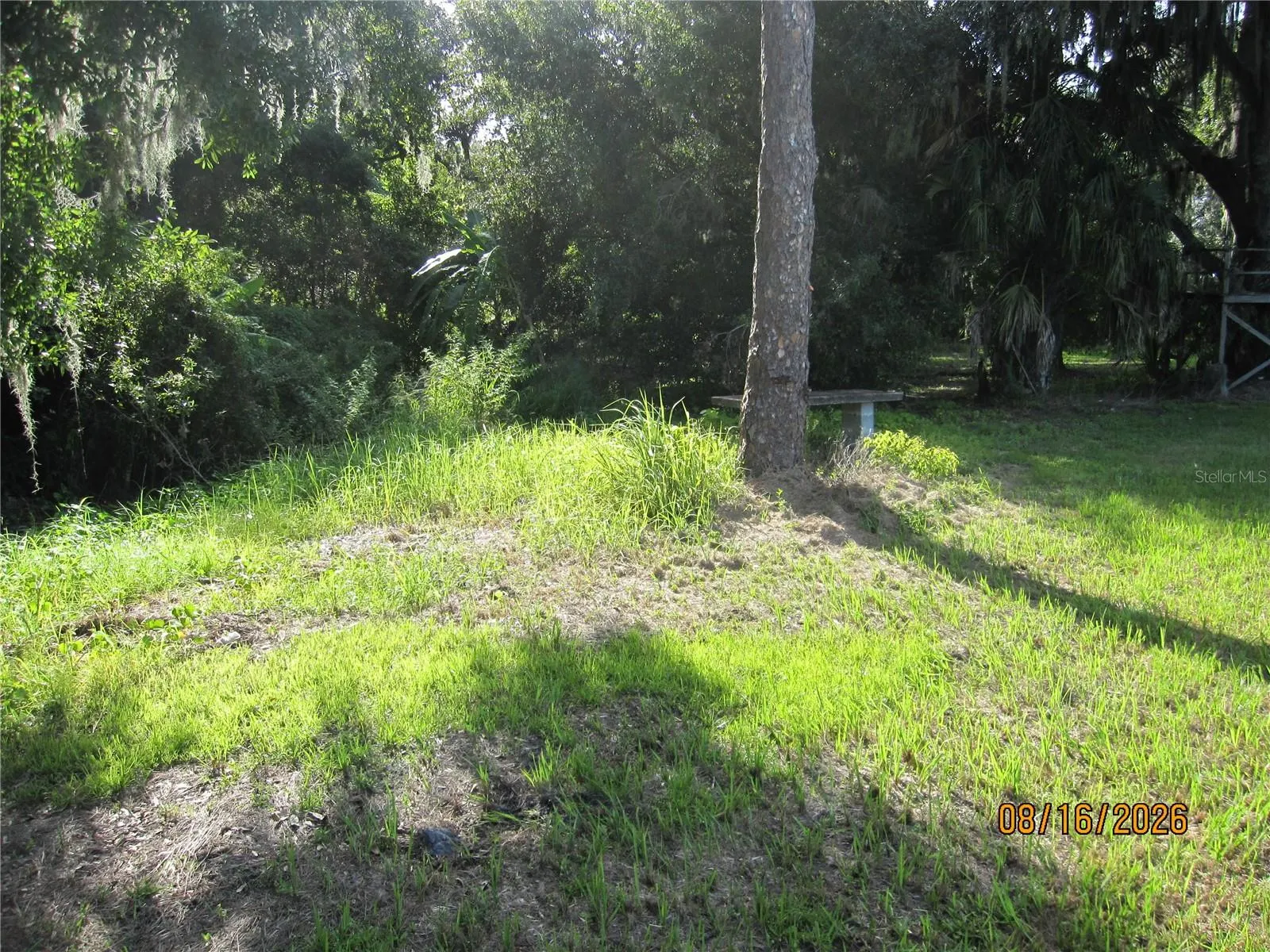 3216 JACK JONES RD