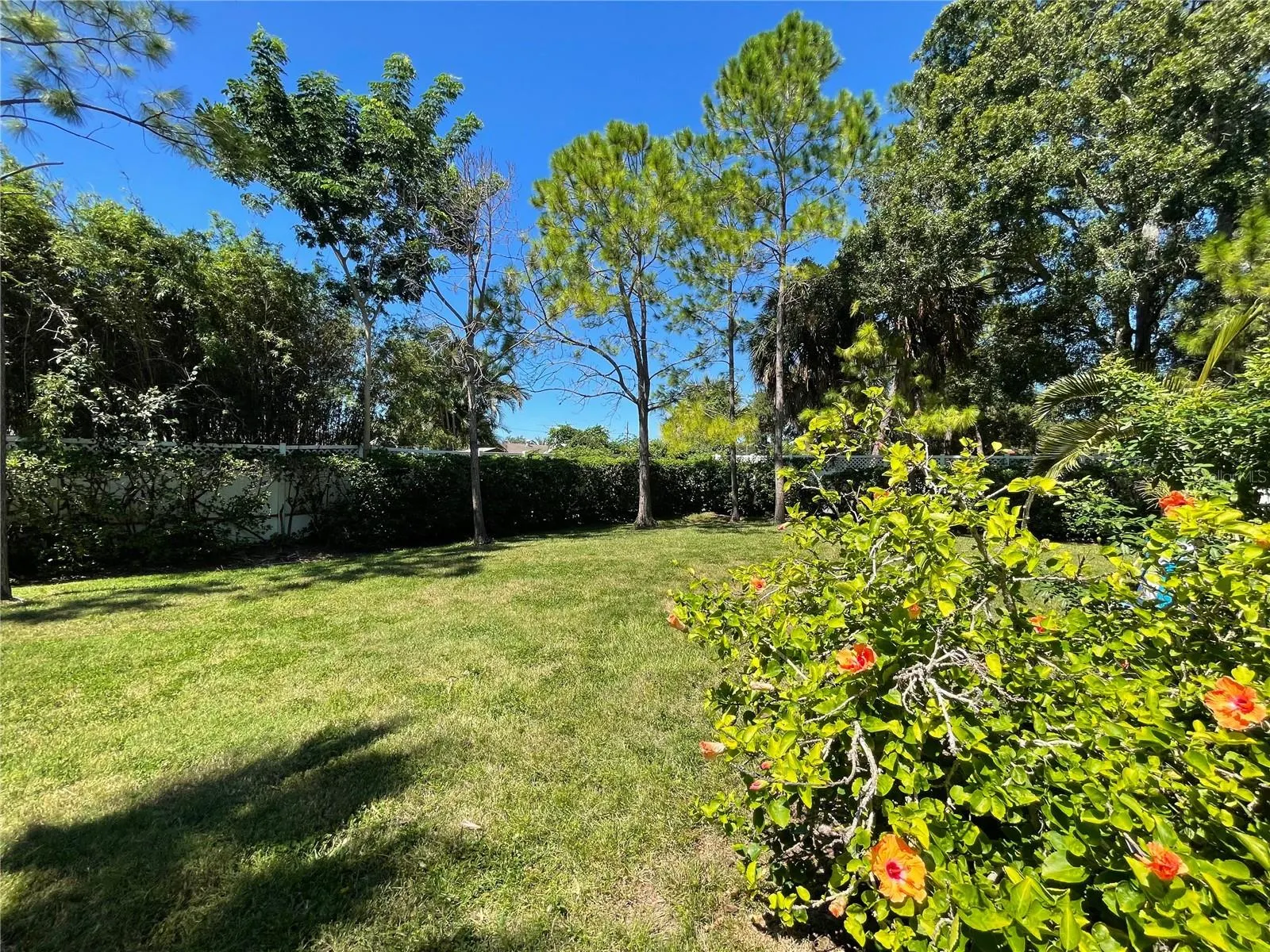 7001 INTERBAY BLVD #186 #186