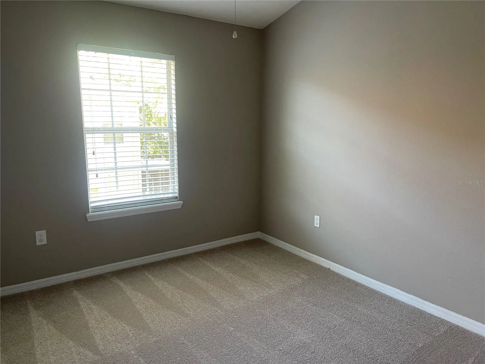 7001 INTERBAY BLVD #186 #186