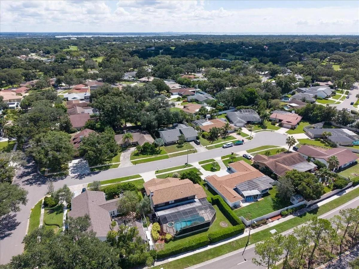 2924 TORREY PINES CT