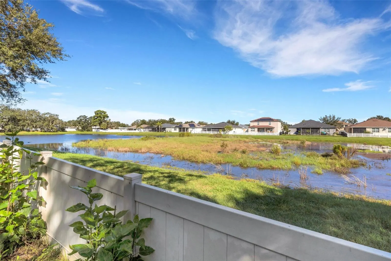 11126 GOLDENROD FERN DR