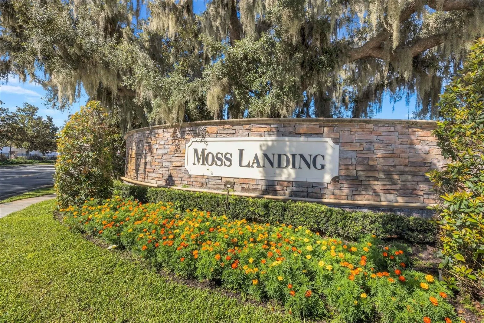 11126 GOLDENROD FERN DR