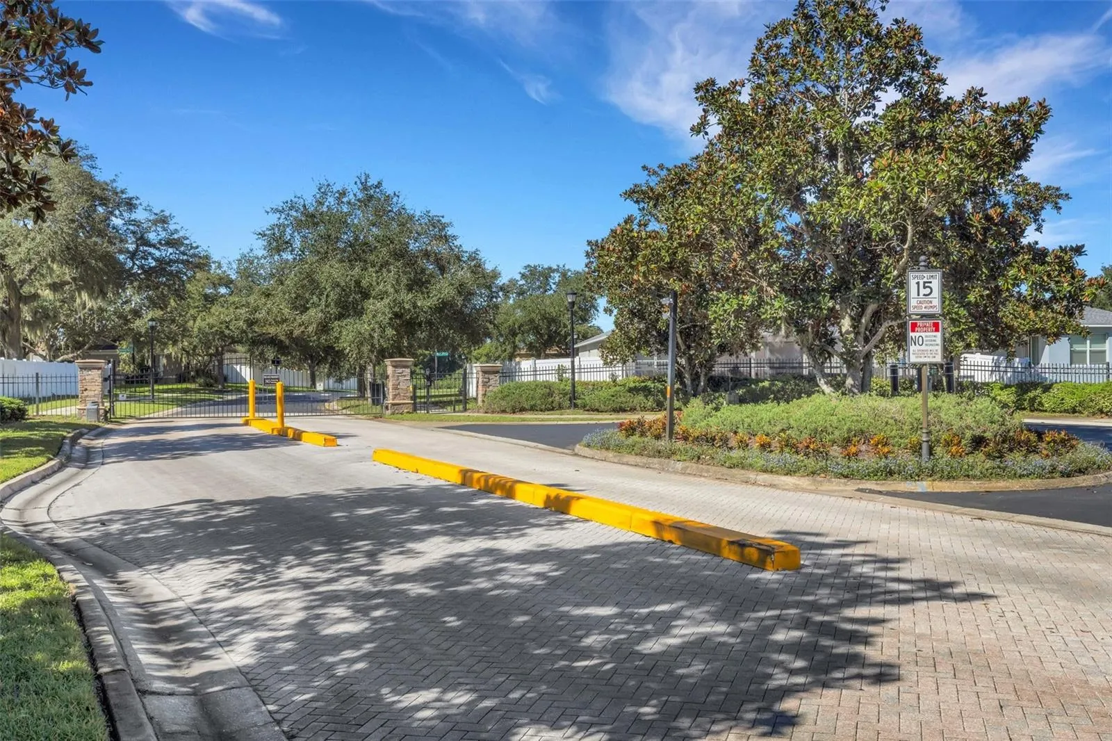 11126 GOLDENROD FERN DR