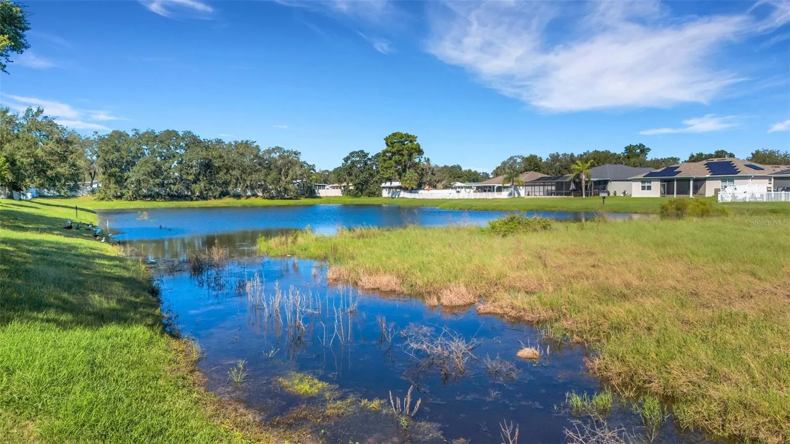 11126 GOLDENROD FERN DR