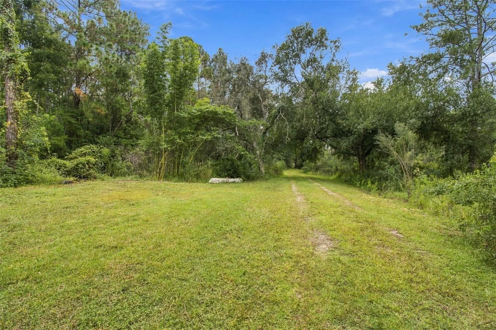 19135 N DALE MABRY HWY