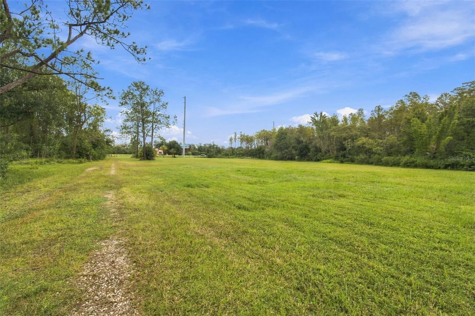 19135 N DALE MABRY HWY