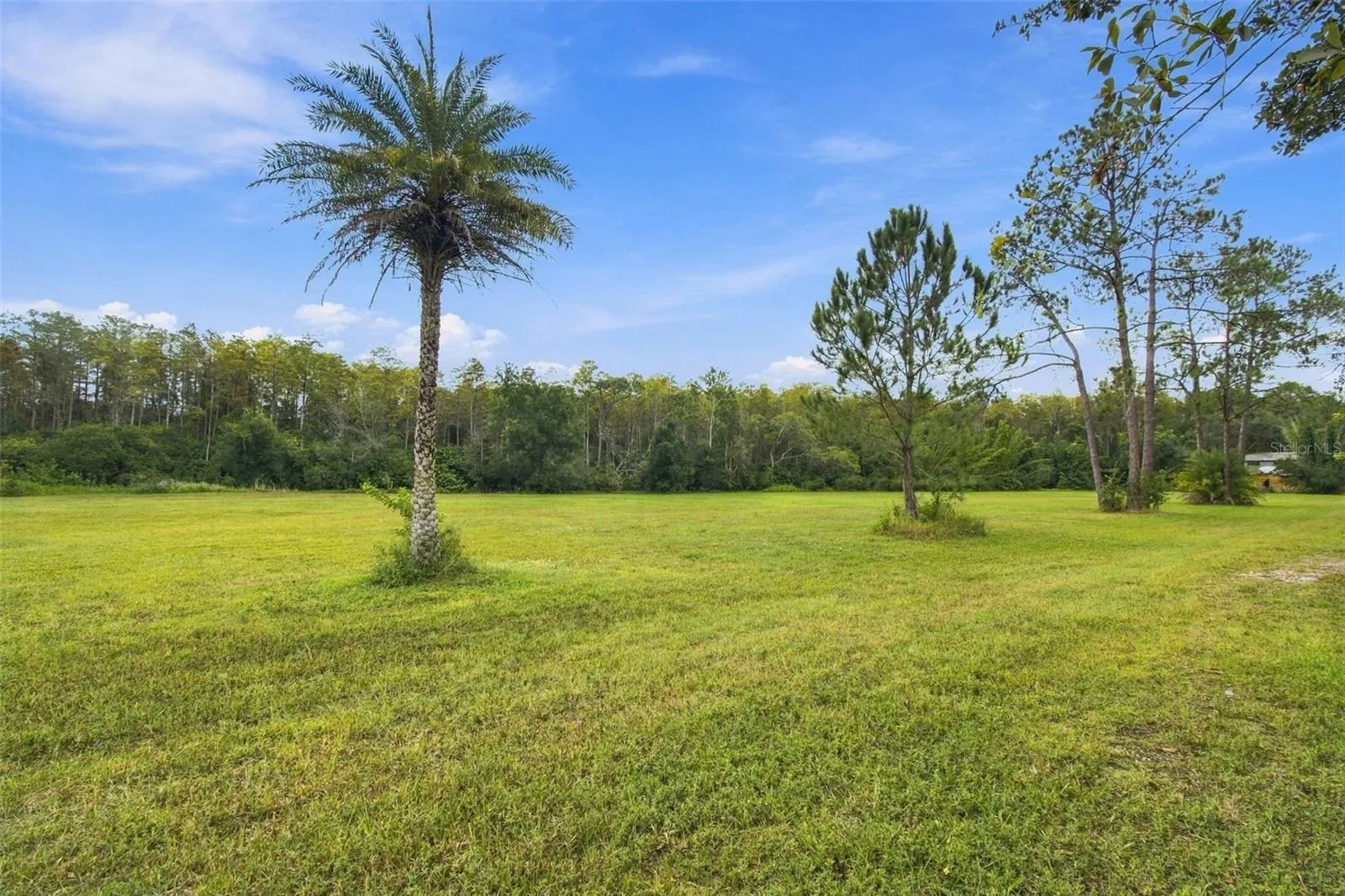 19135 N DALE MABRY HWY