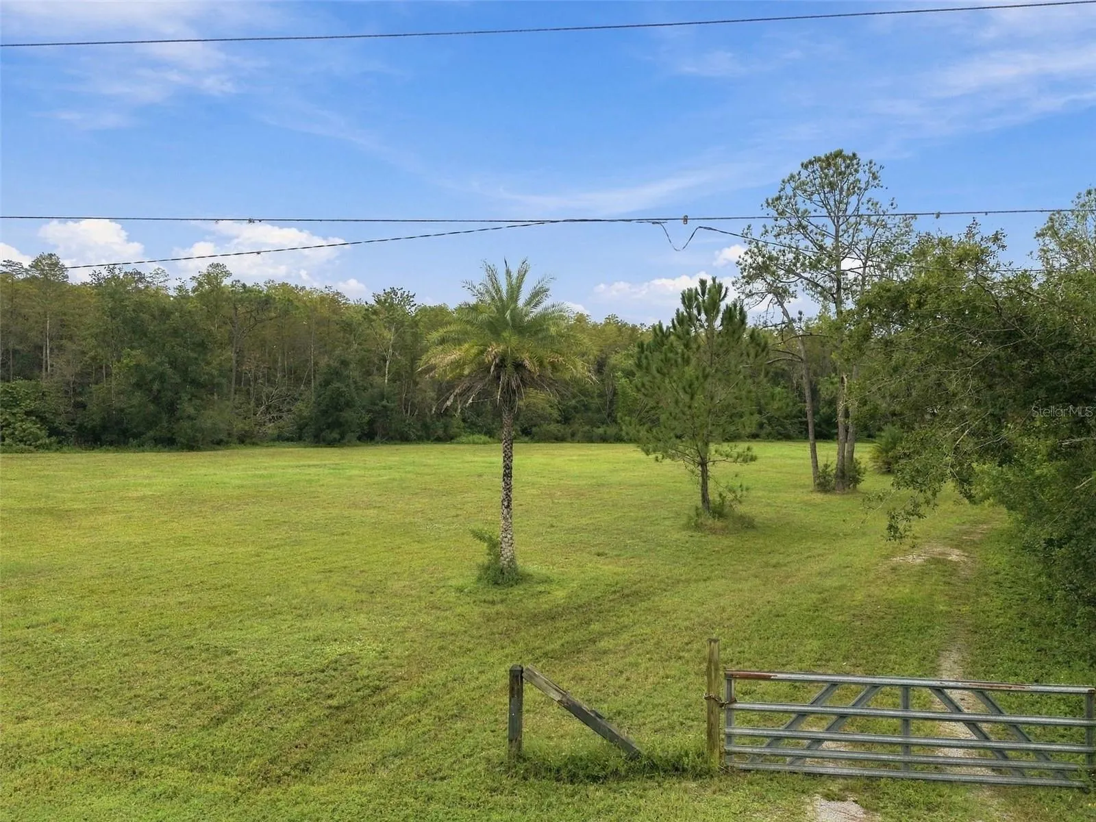 19135 N DALE MABRY HWY