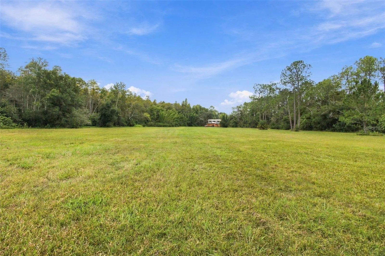 19135 N DALE MABRY HWY