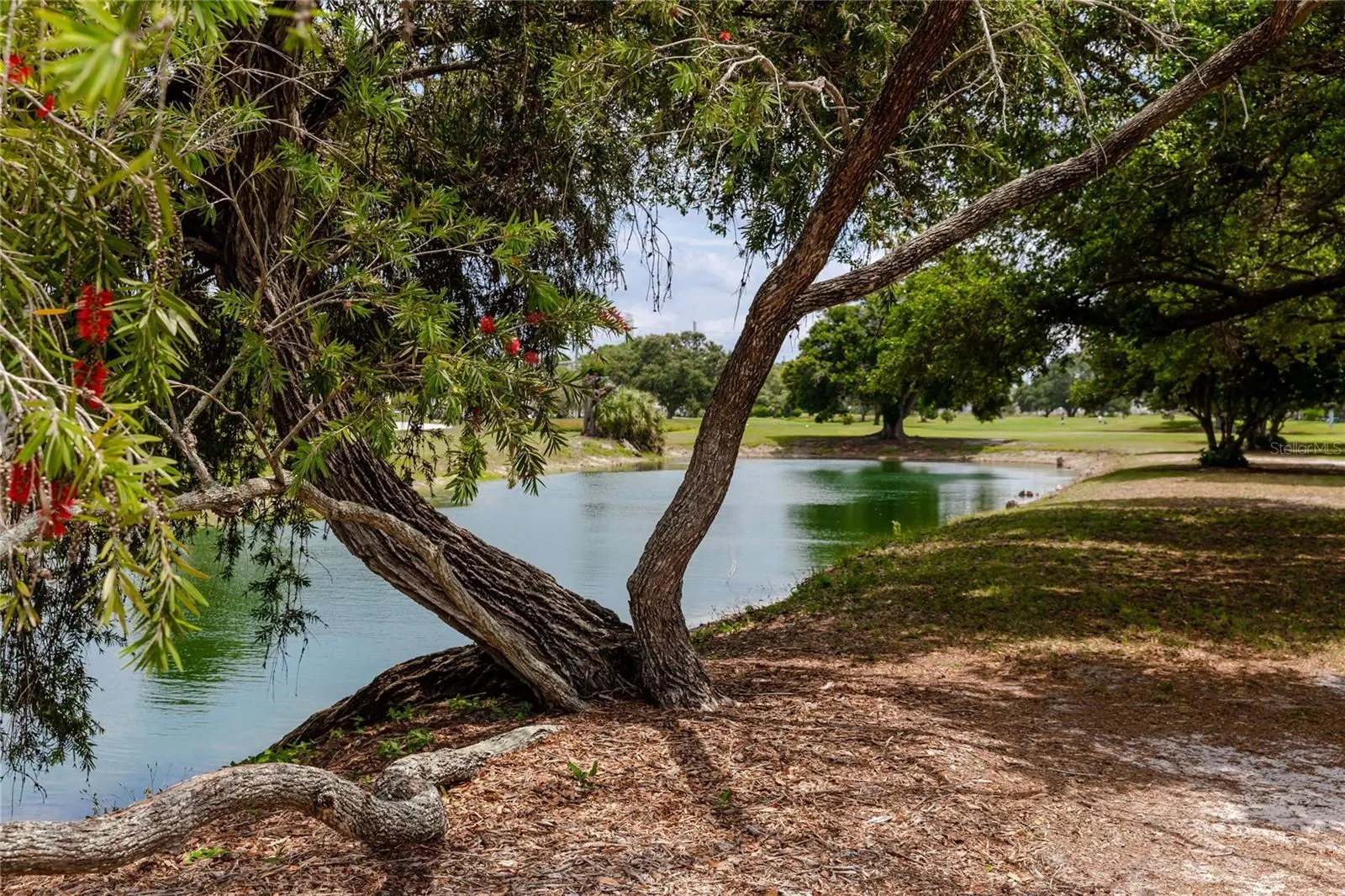 2072 AUSTRALIA WAY W #42 #42