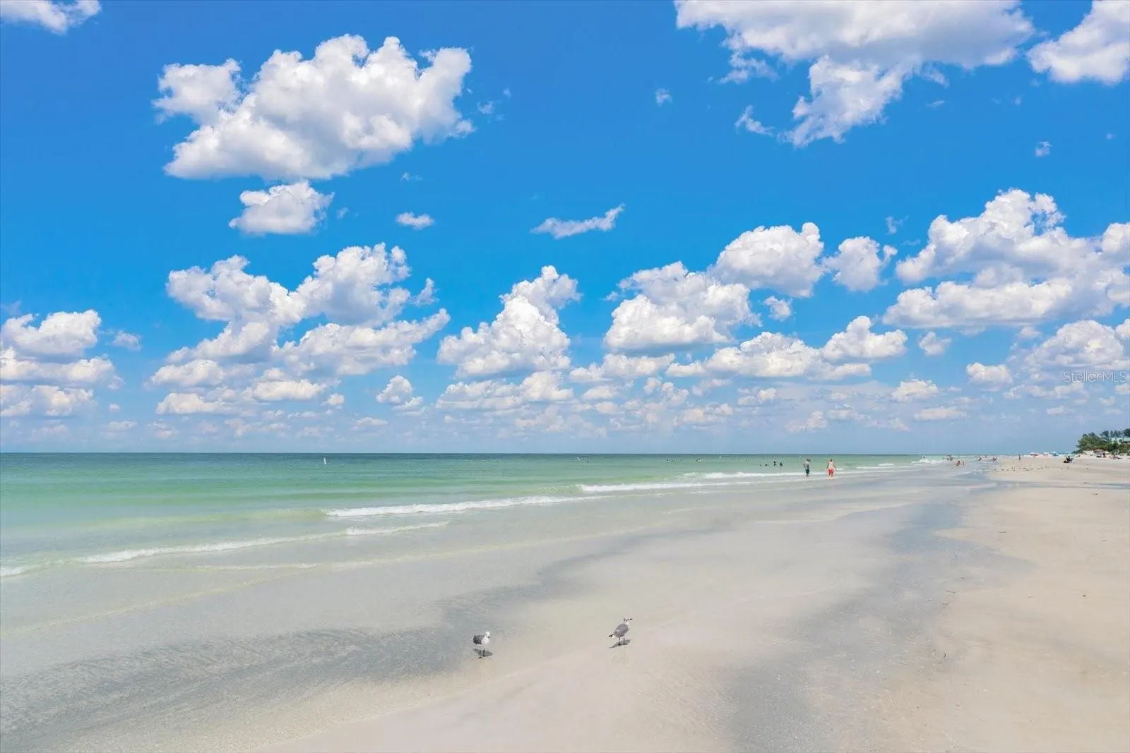 1512 GULF BLVD
