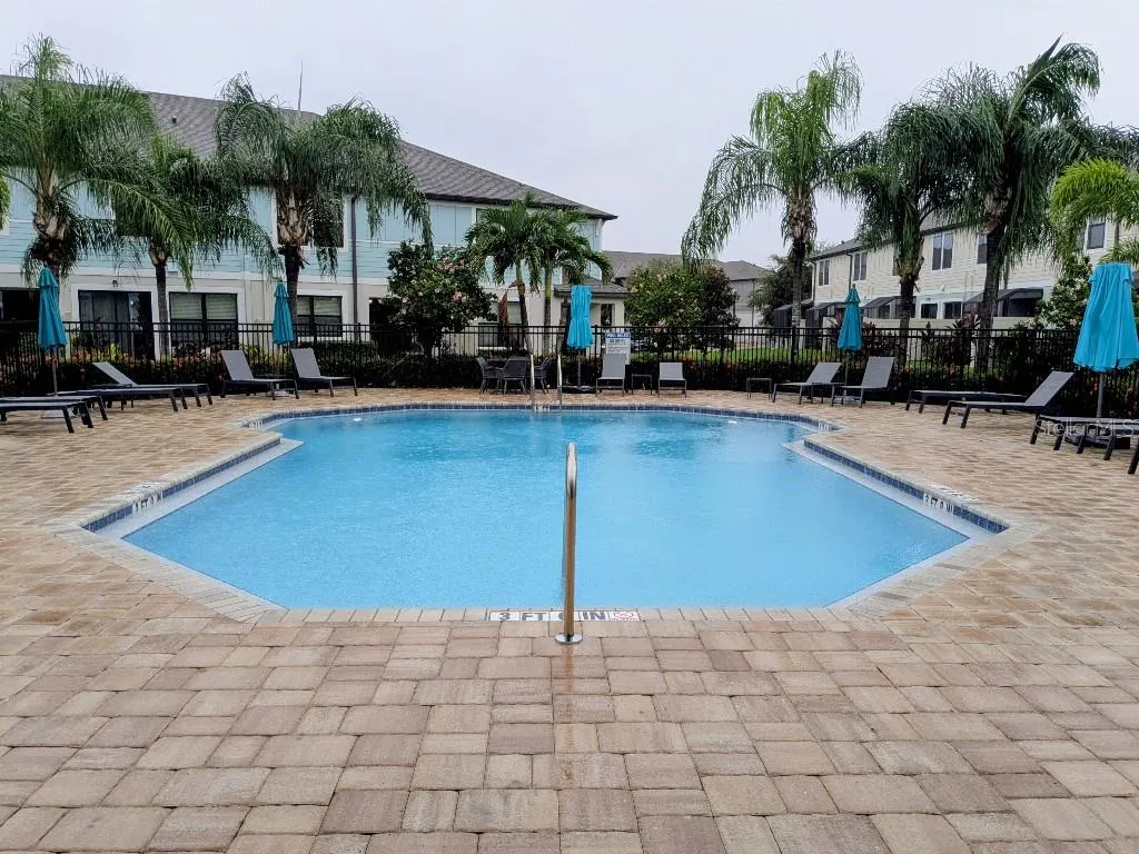 2454 FOGGY CREEK CIR