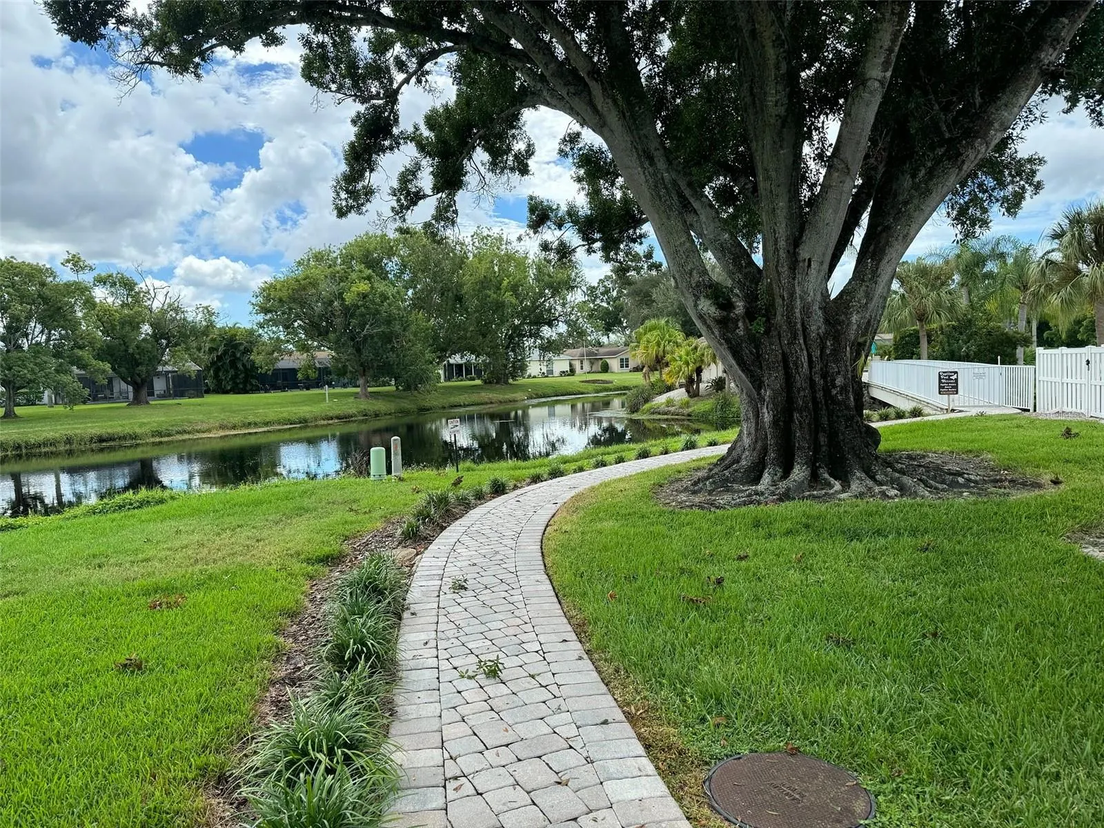 3020 RINGWOOD MEADOW