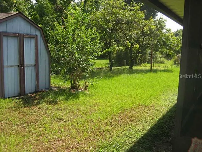 609 AVOCADO DR