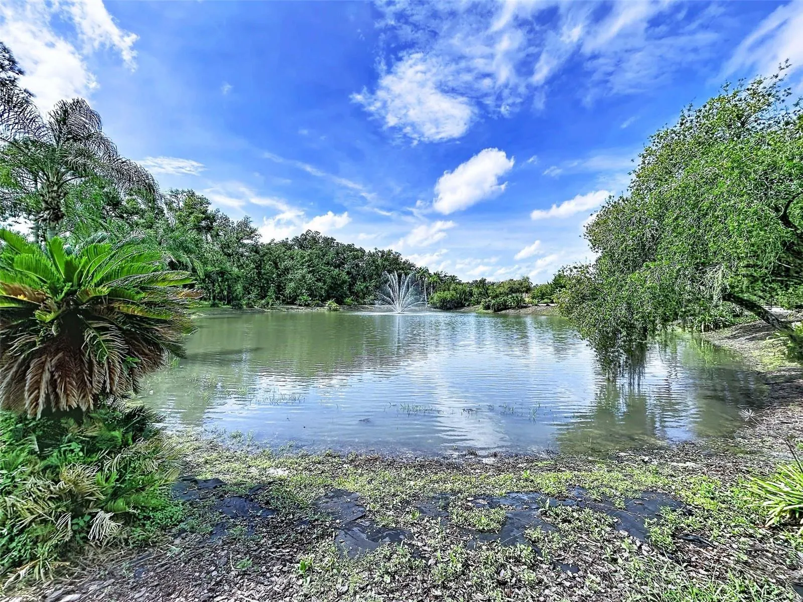 18023 JAVA ISLE DR