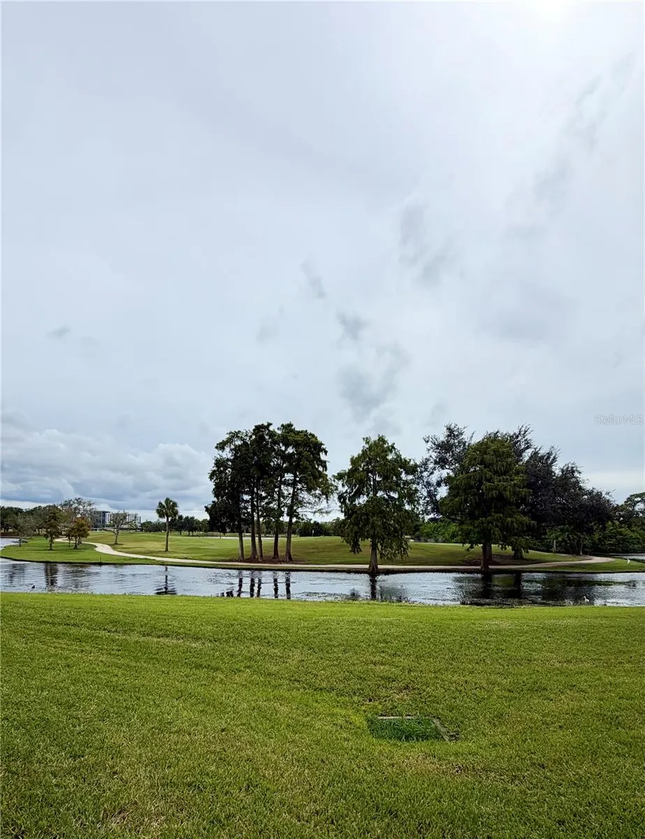 2400 FEATHER SOUND DR #1426 #1426