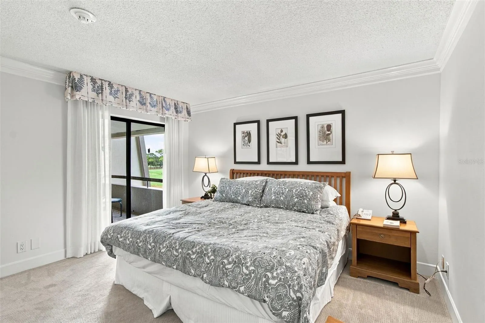 36750 US HIGHWAY 19 N #13217 #13217
