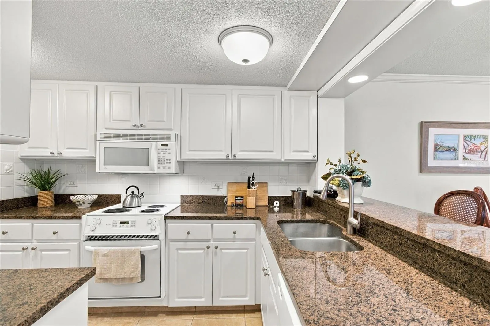 36750 US HIGHWAY 19 N #13217 #13217