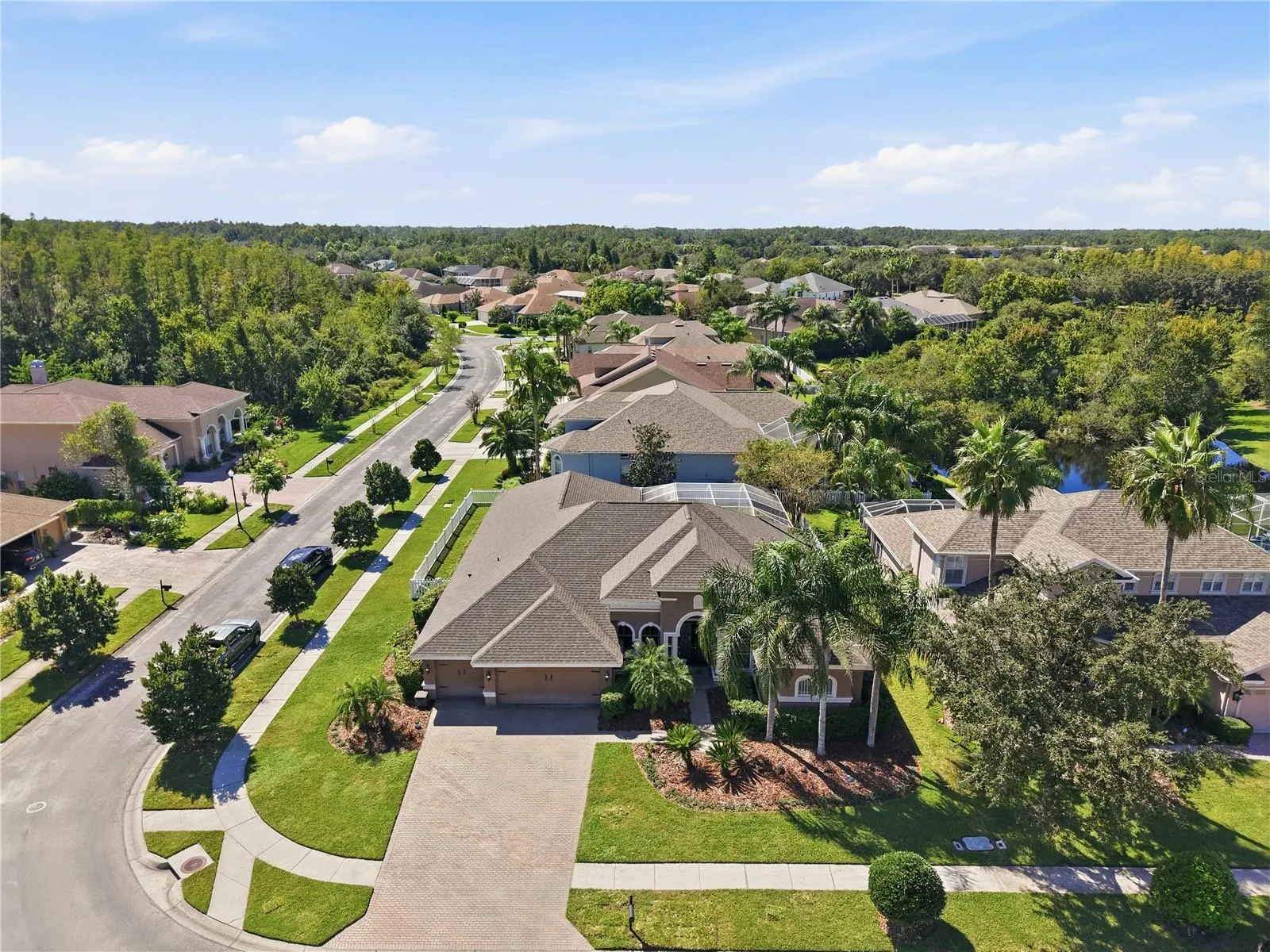 3905 SORREL VINE DR