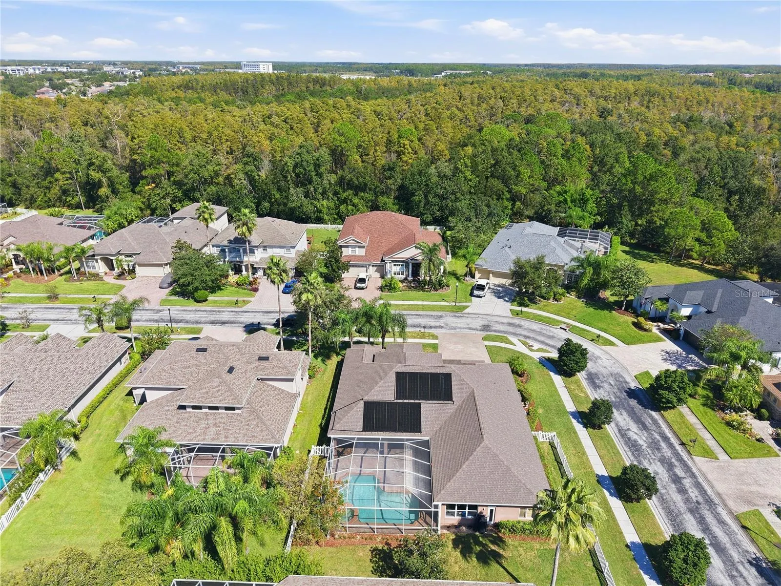 3905 SORREL VINE DR