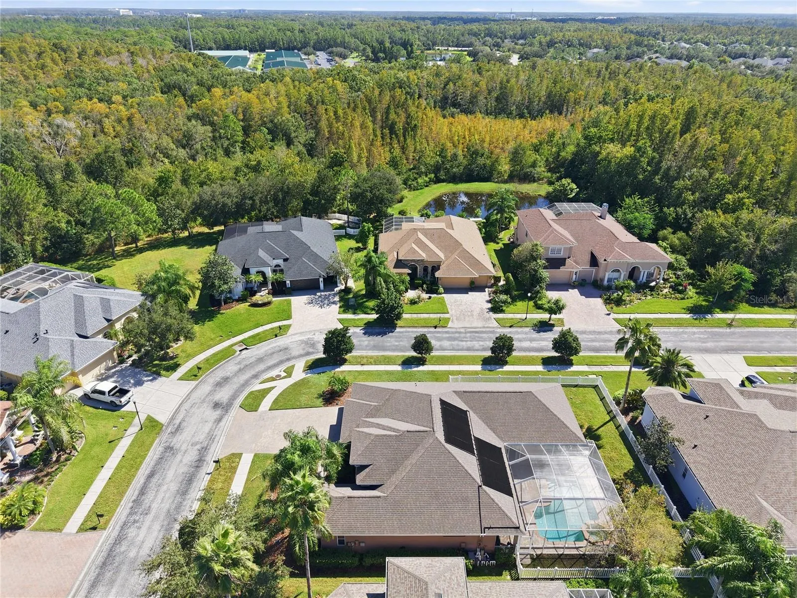 3905 SORREL VINE DR