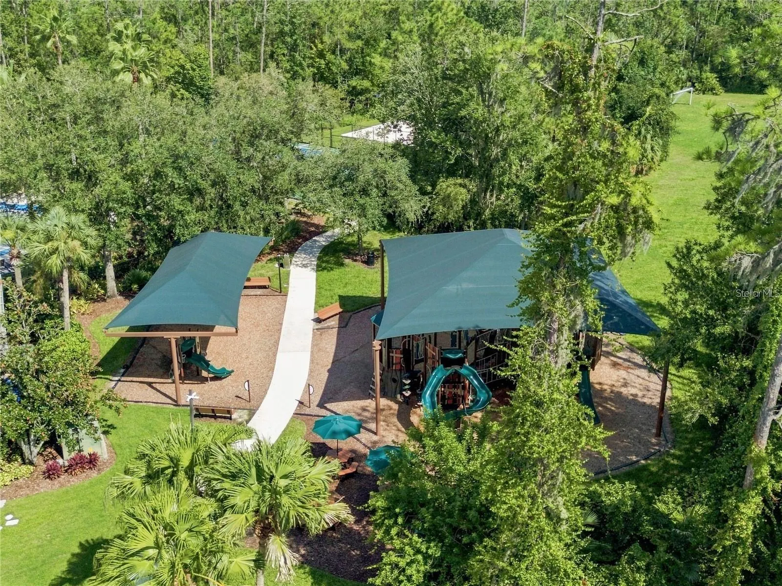 3905 SORREL VINE DR