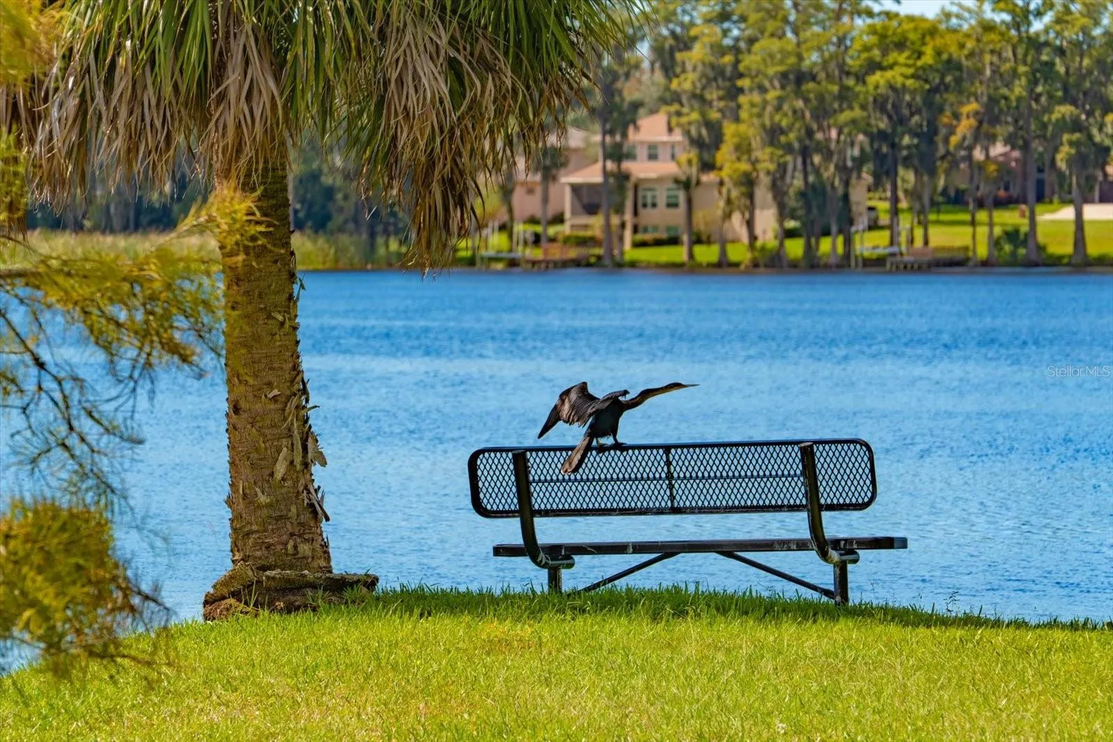 2056 COVE TRCE
