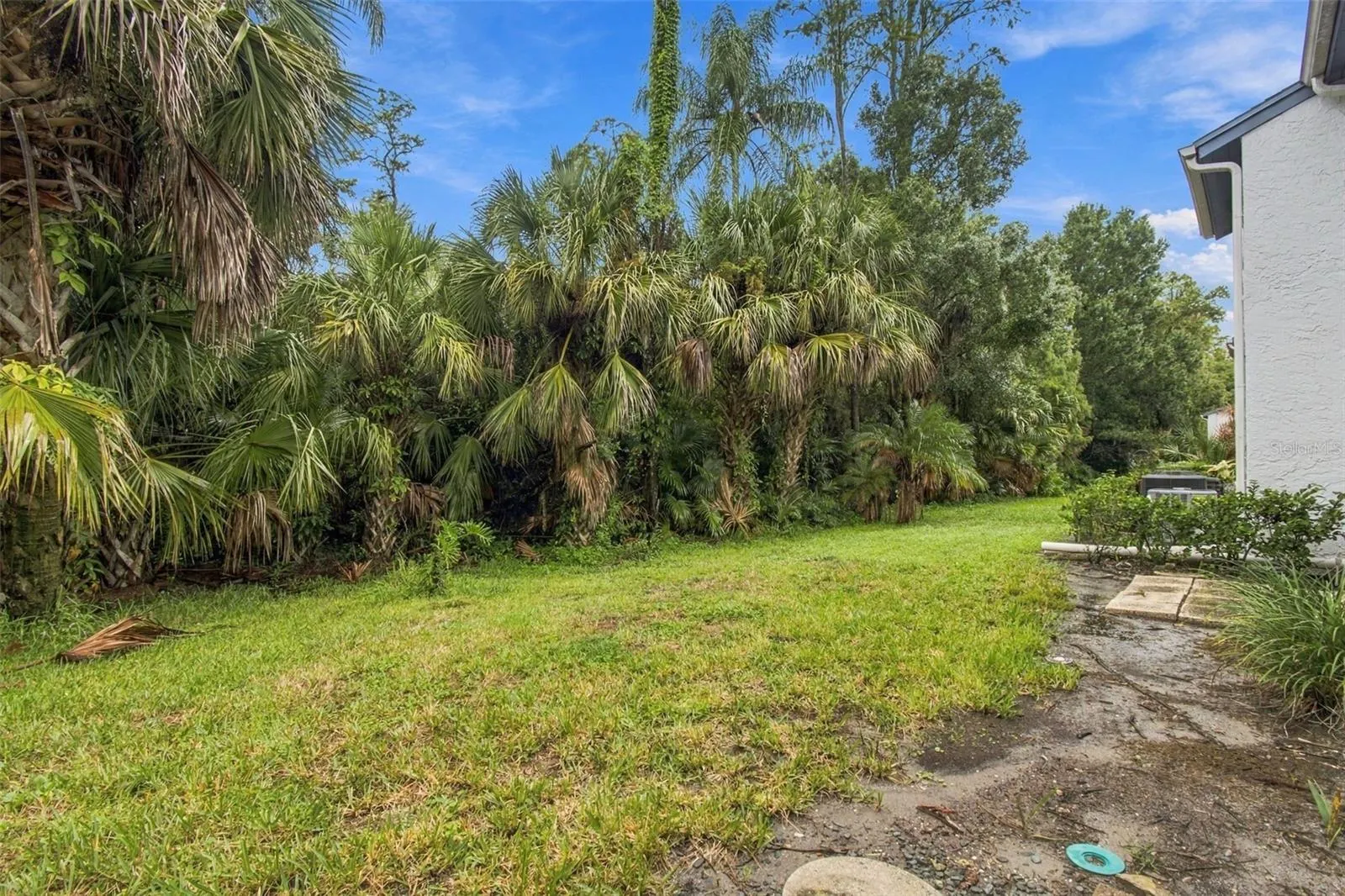 131 CYPRESS LN #131 #131