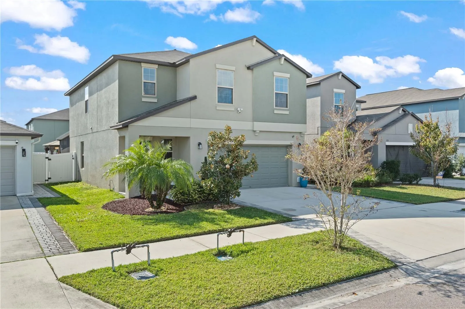3717 CAT MINT ST