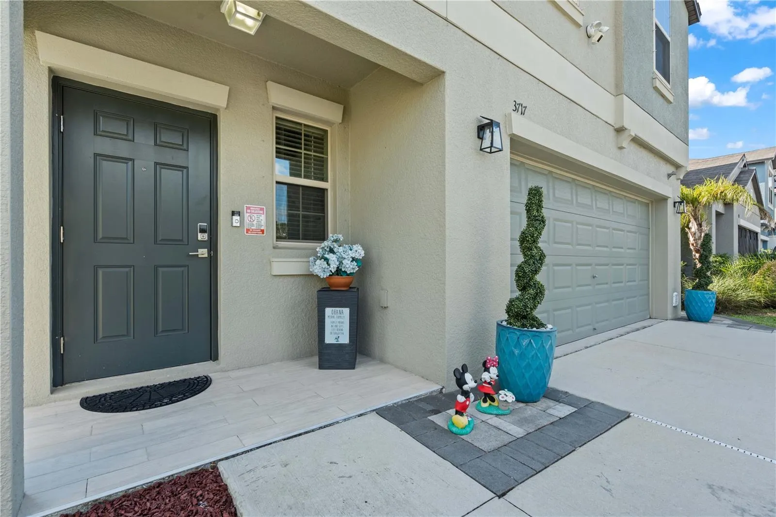 3717 CAT MINT ST