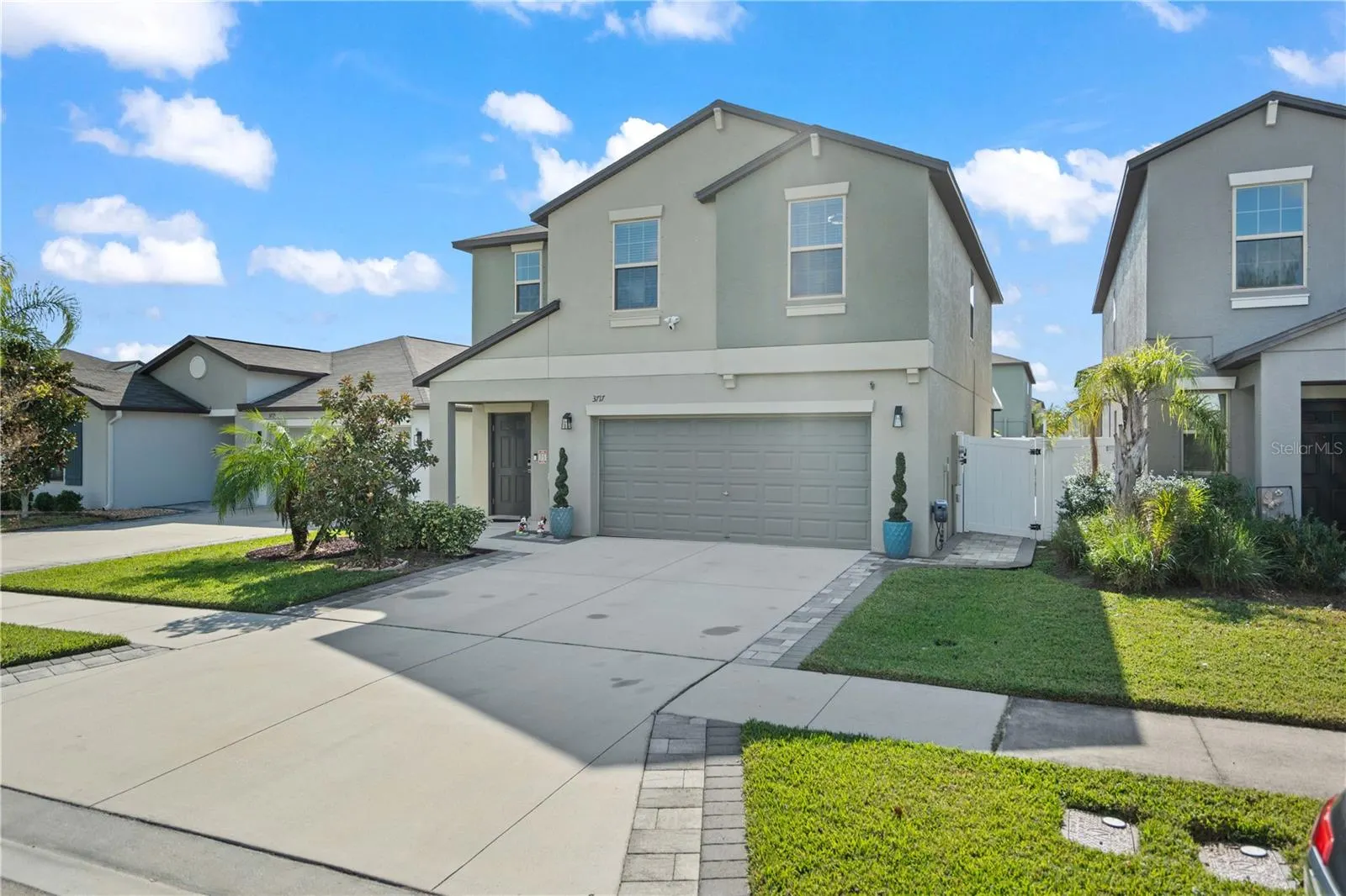 3717 CAT MINT ST