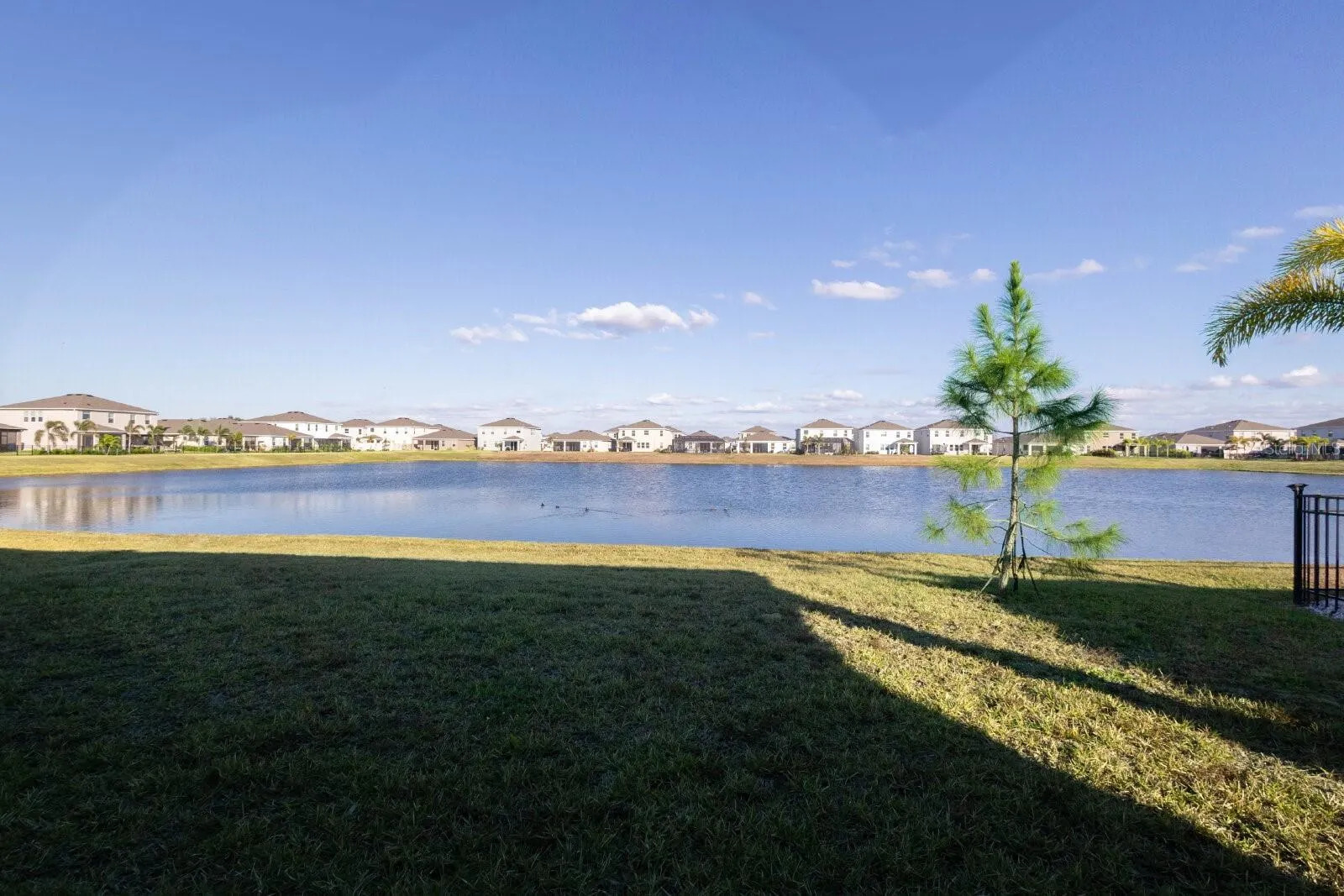 345 MANGROVE MANOR DR
