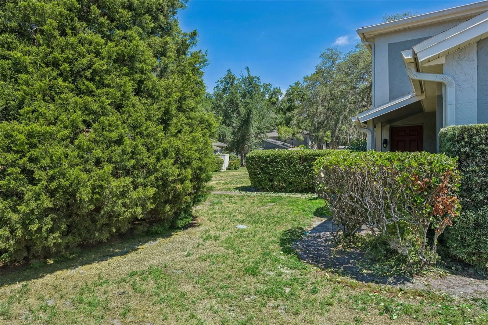 6341 TREETOP CIR #6341 #6341