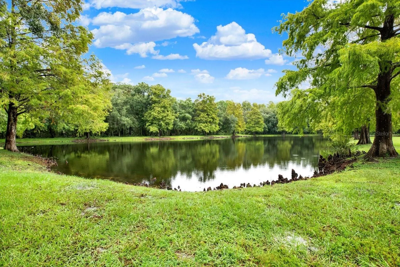 3433 HILLMOOR DR