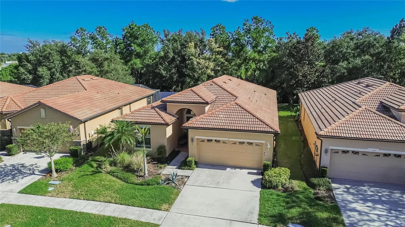213 SILVER FALLS DR
