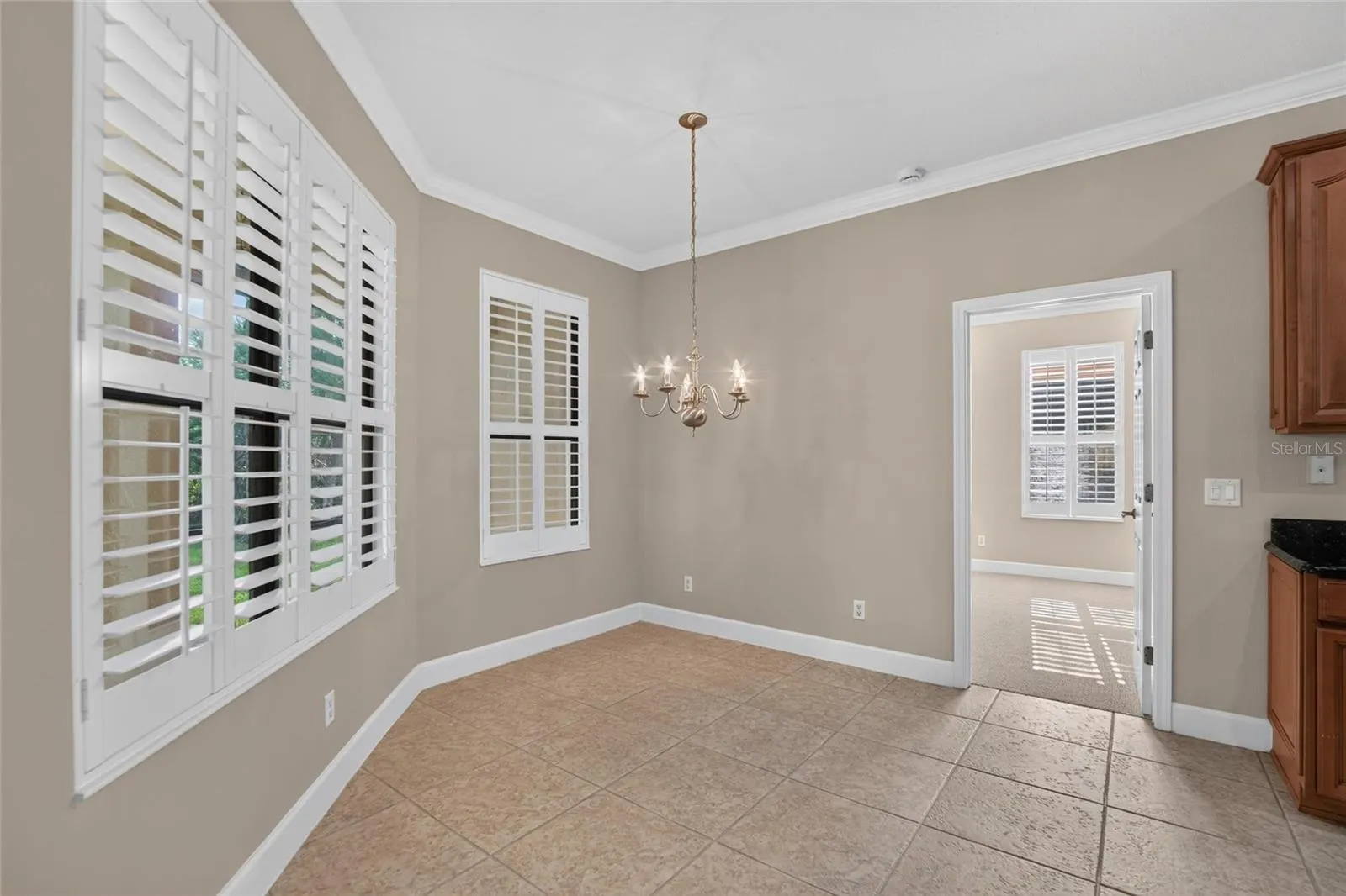 213 SILVER FALLS DR