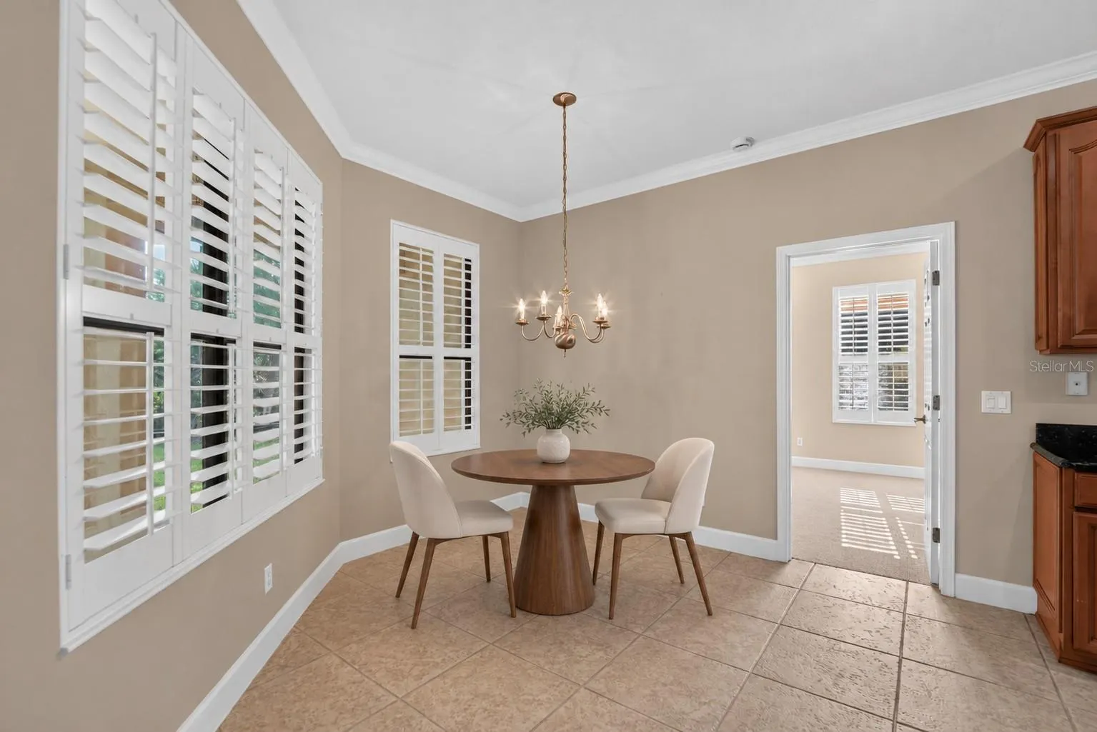 213 SILVER FALLS DR