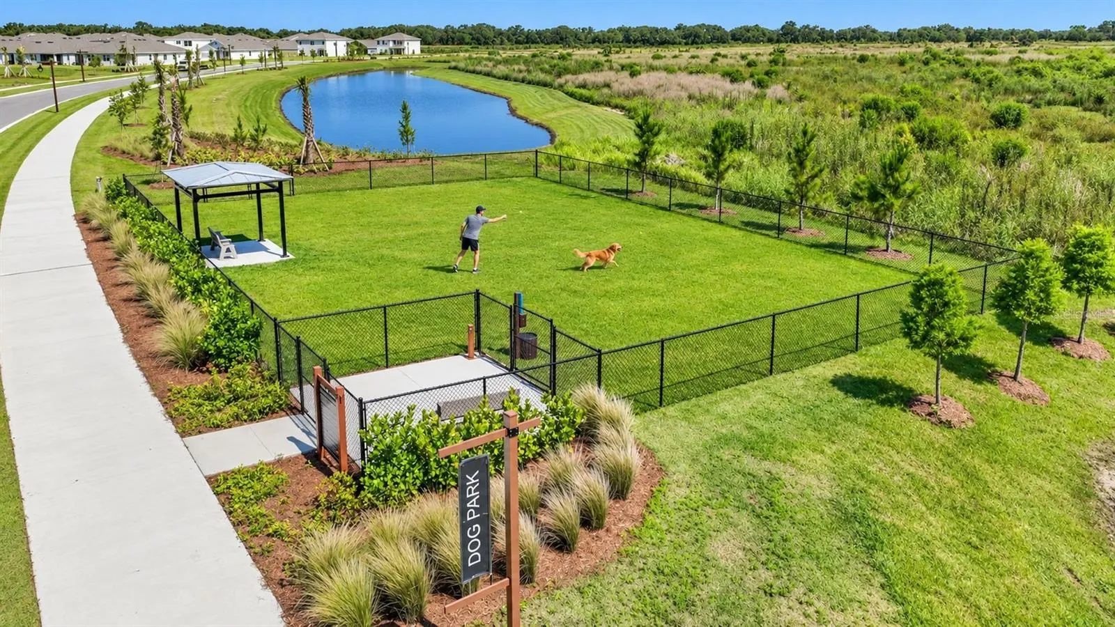 3515 WHITE DANDELION CT