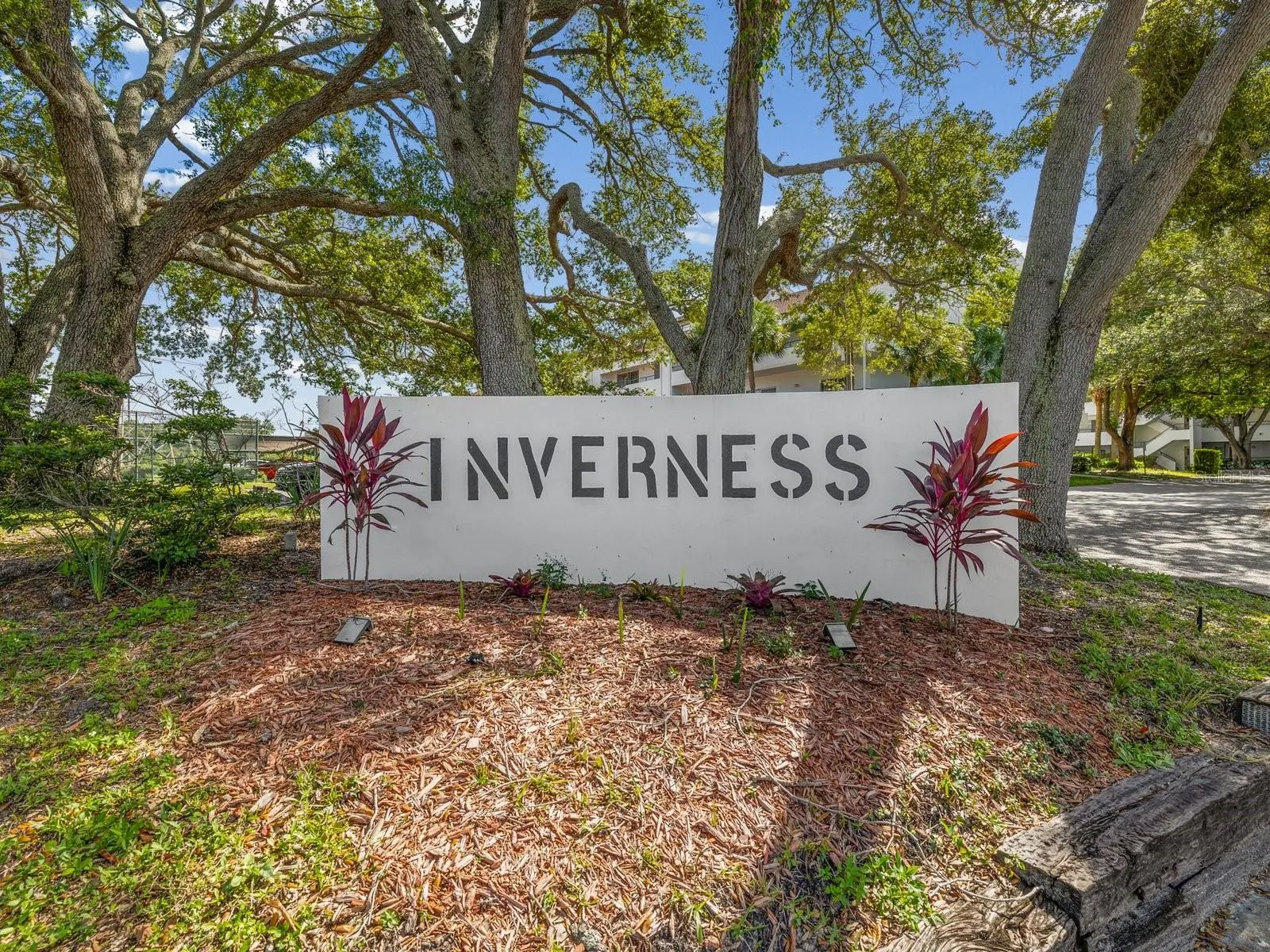 2593 COUNTRYSIDE BLVD #7304 #7304