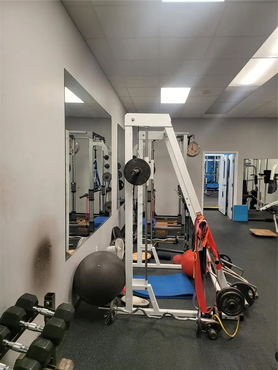 814 S DALE MABRY HWY