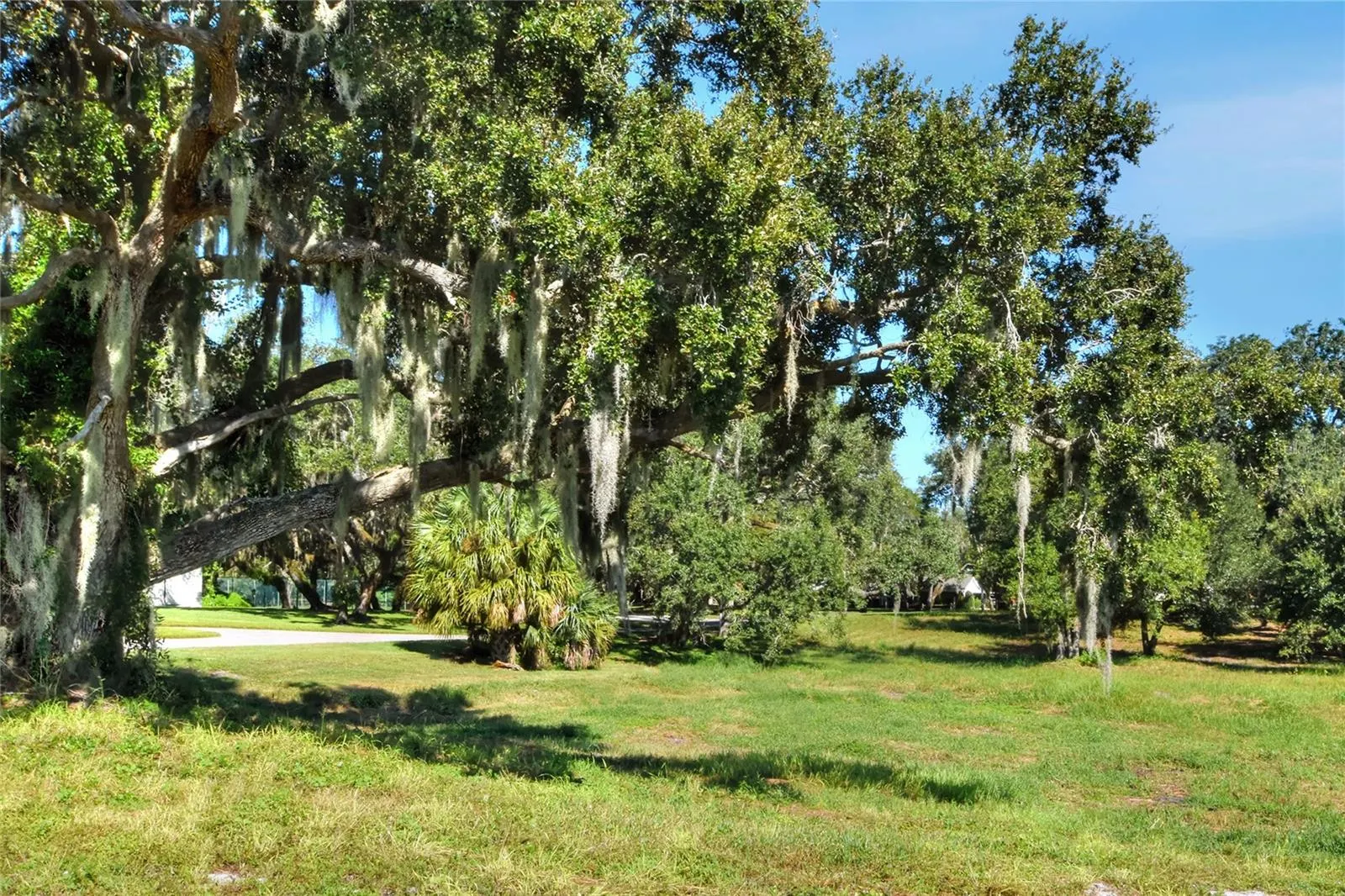 MANGHAM RD