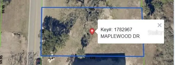 MAPLEWOOD DR