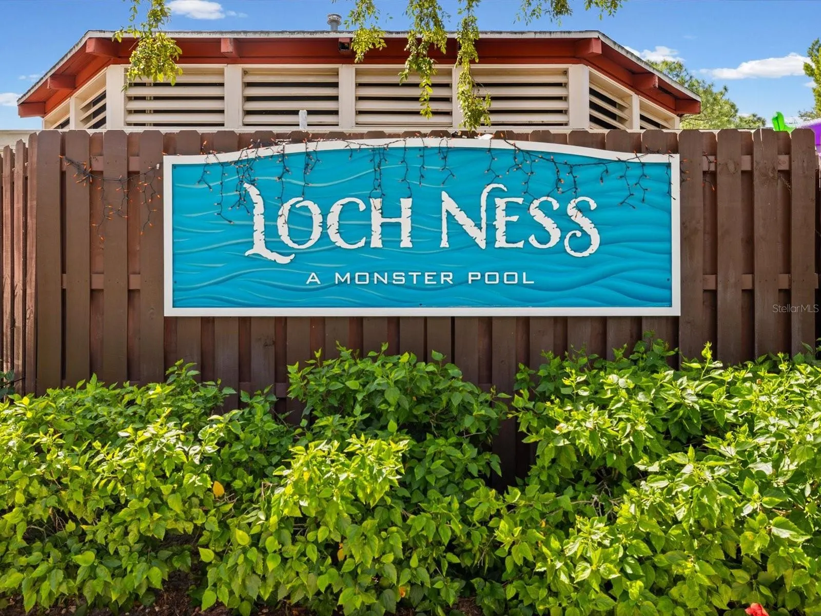 36750 US HIGHWAY 19 N #2372 #2372