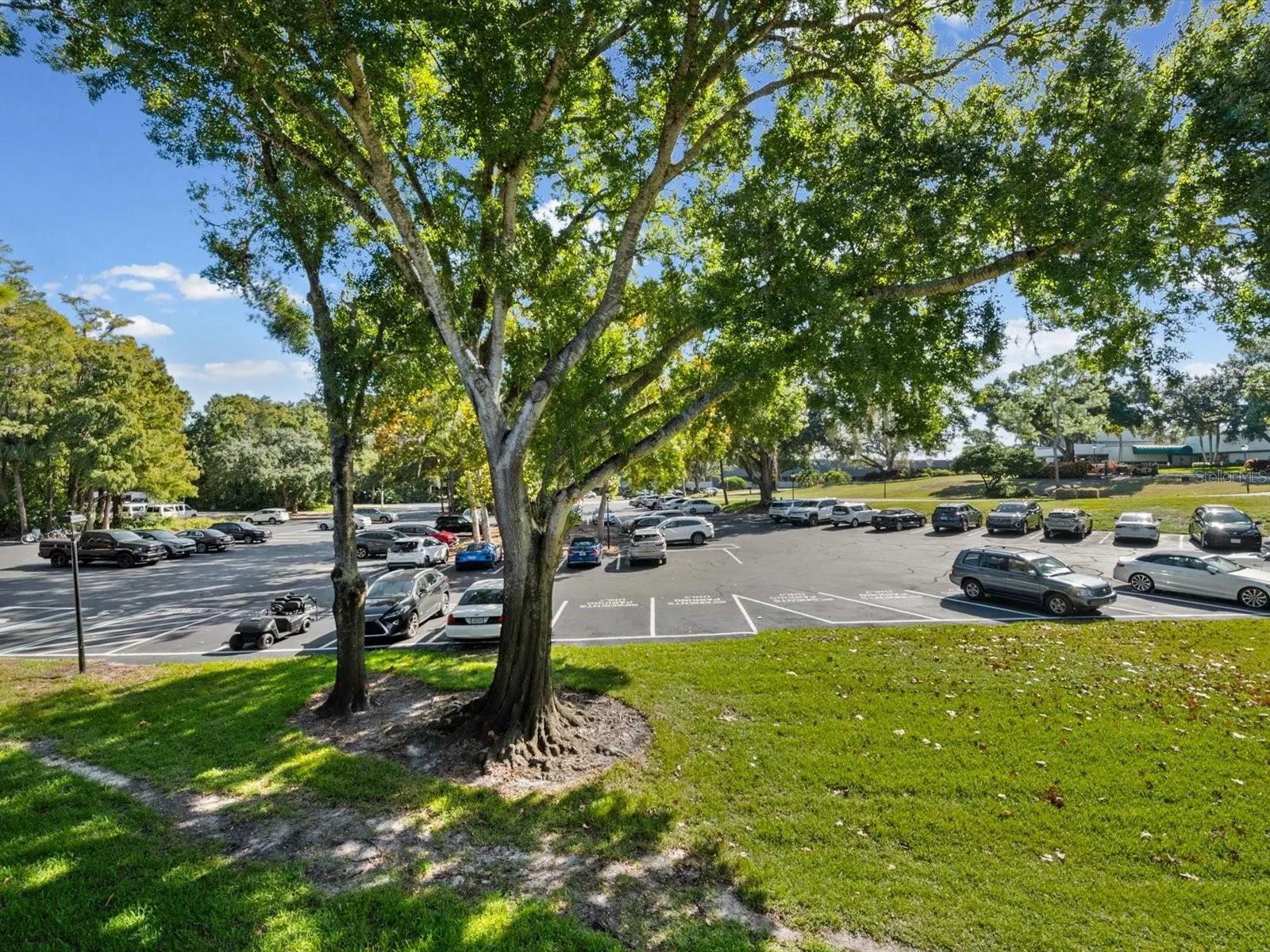 36750 US HIGHWAY 19 N #2372 #2372